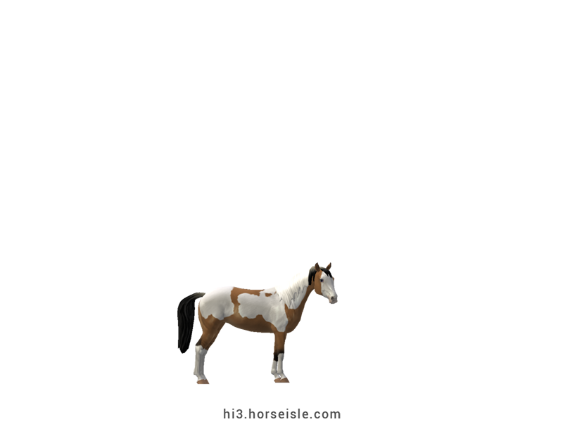 American Miniature Horse Dun Tovero Coat